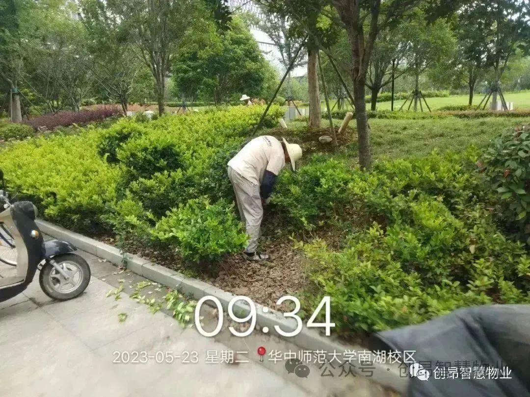 1705654954942.jpg