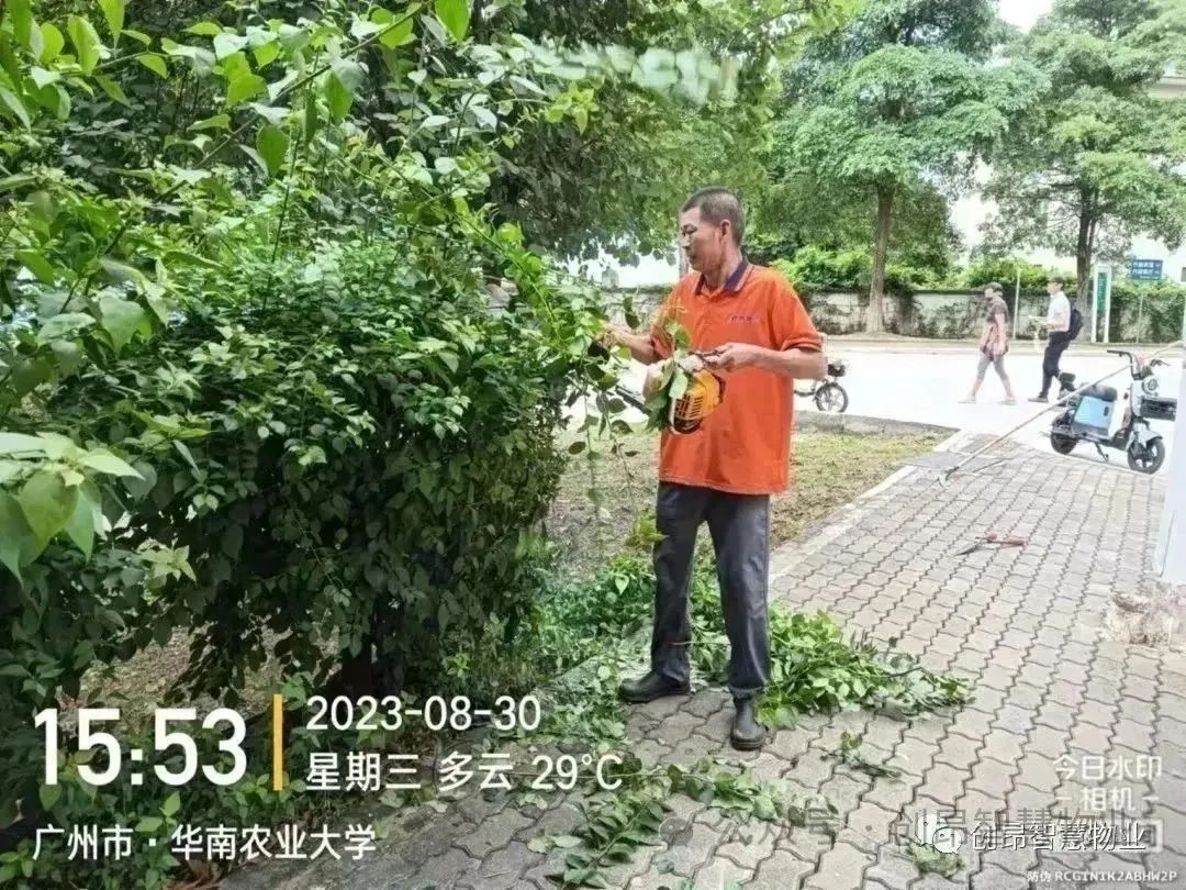 1705654979517.jpg